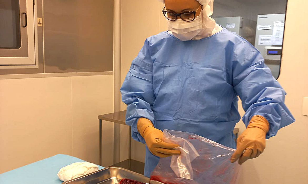 Pesquisa desenvolvida por brasileiros cria curativos biológicos à base de placenta